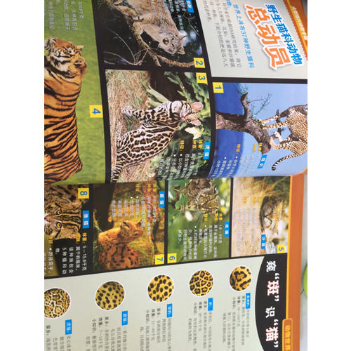 美国国家地理少儿版百科（平装版）