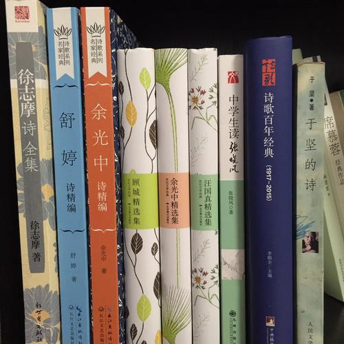 诗歌百年经典（1917-2015）