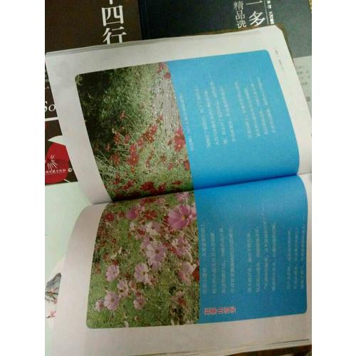 再别康桥· 徐志摩诗歌精选（彩绘典藏本）