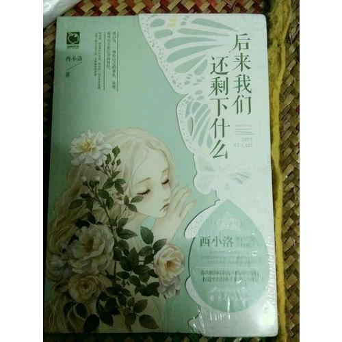 后来我们还剩下什么