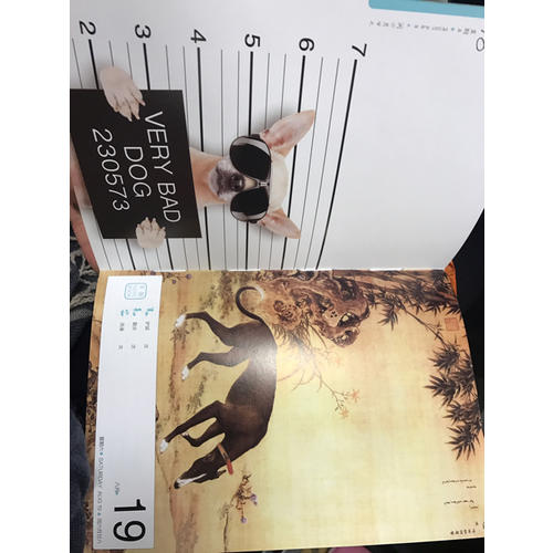 2017萌宠日历·汪汪