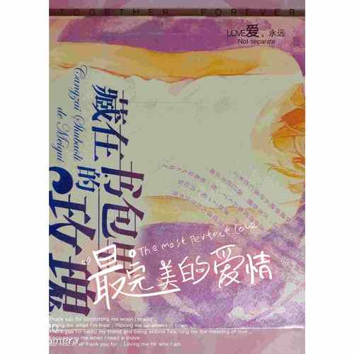 藏在书包里的玫瑰·校园性问题访谈实录