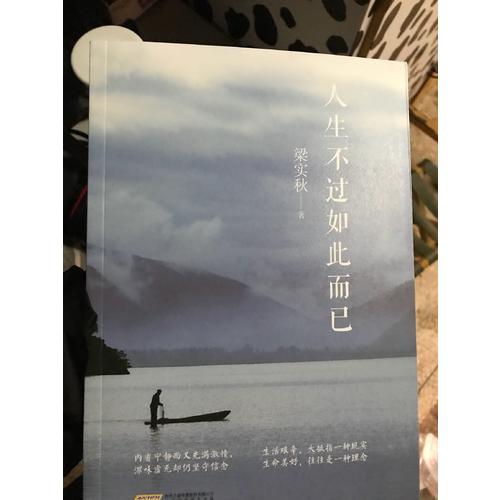 人生不过如此而已