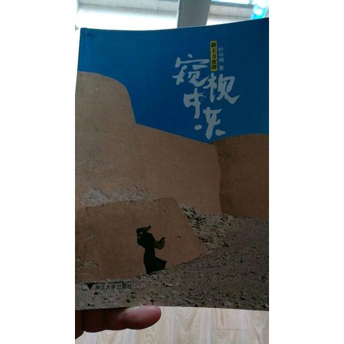 新天方夜谭·窥视中东