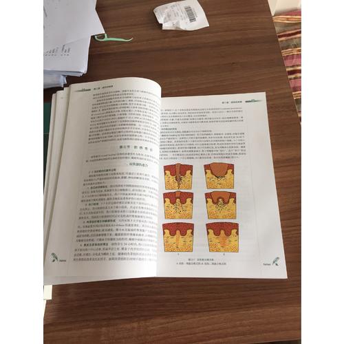 病理学(第3版/八年制/配增值)