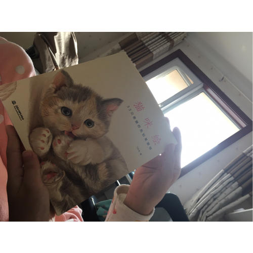 猫咪绘：33只萌猫的色铅笔图绘
