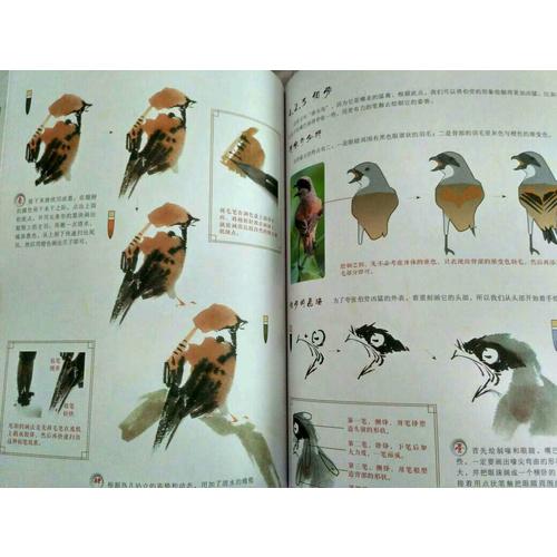 国画技法从入门到精通 花鸟鱼虫