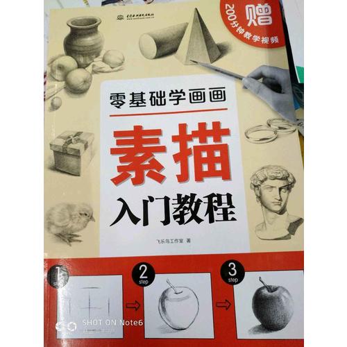 零基础学画画素描入门教程