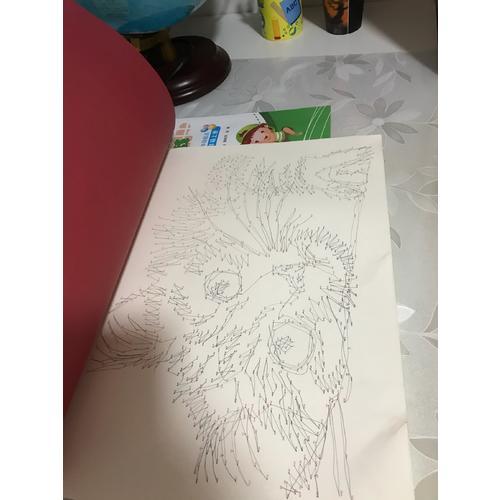 1000个点画出可爱动物