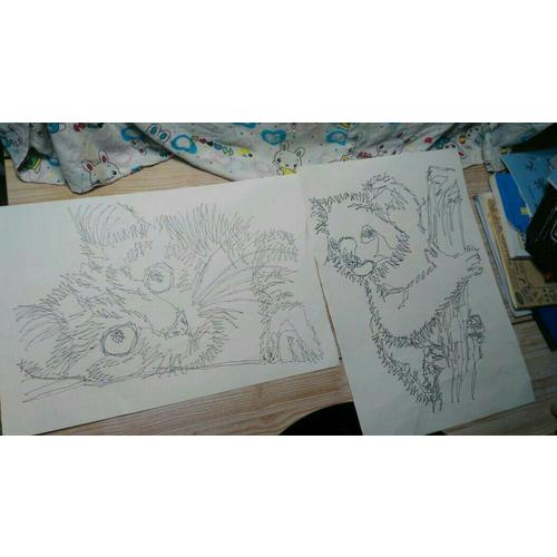 1000个点画出可爱动物