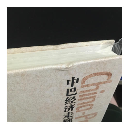 中巴经济走廊·中国“一带一路”战略旗舰项目研究