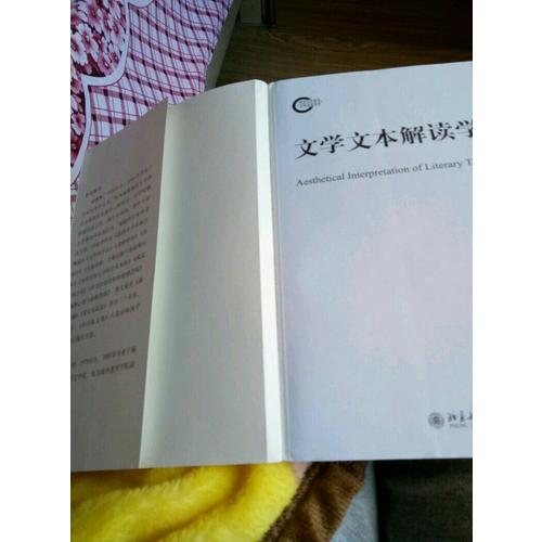 文学文本解读学
