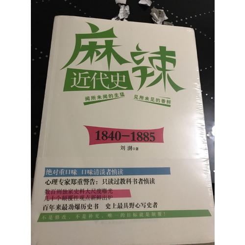 麻辣近代史：1840—1885