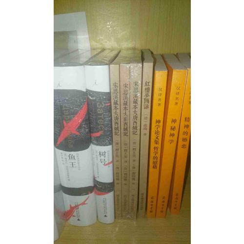 国学基本典籍丛刊：宋思溪藏本大唐西域记（全三册）