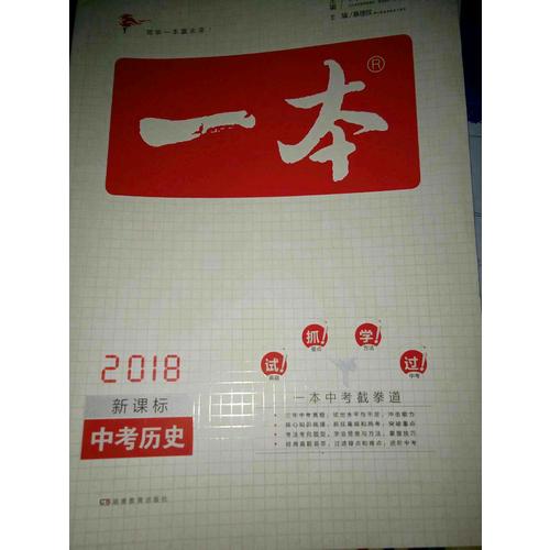 2018年一本 中考历史新课标板 初中学生总复习