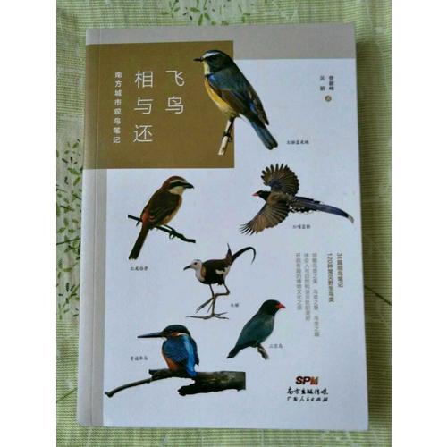 飞鸟相与还：南方城市观鸟笔记