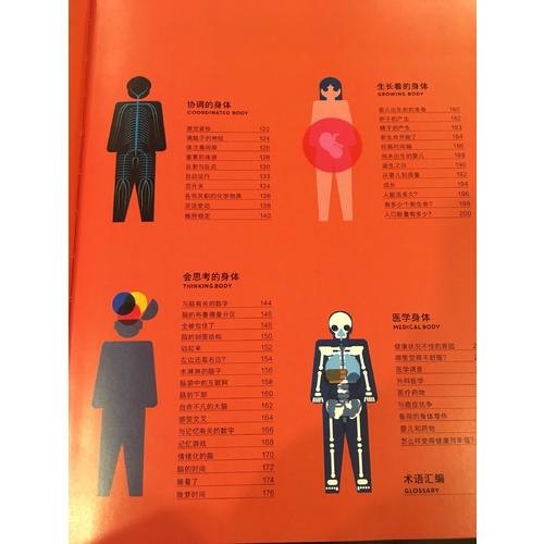 人体信息图：身体小宇宙漫游指南