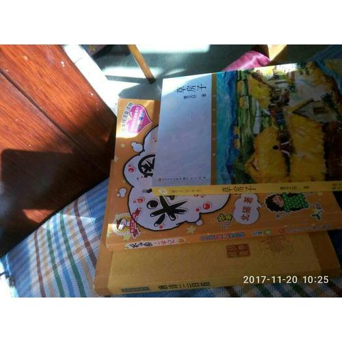 白洋淀纪事（中学生定制版）部编教材七年级上指定阅读书系