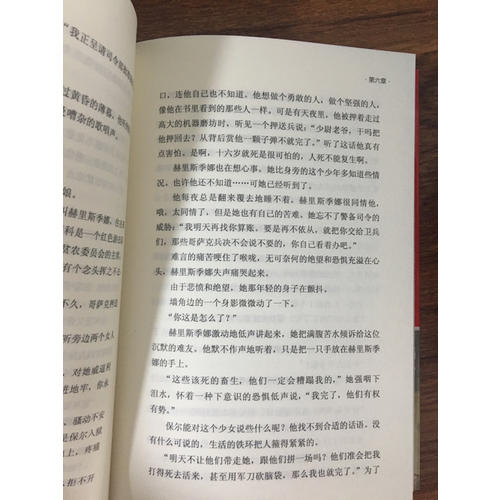 钢铁是怎样炼成的（新课标）