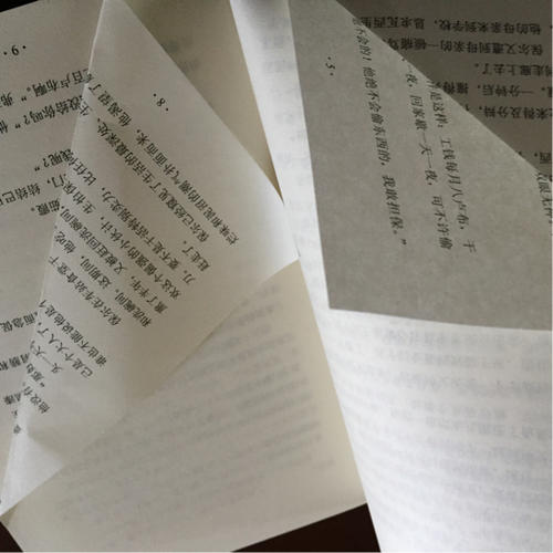 钢铁是怎样炼成的（新课标）