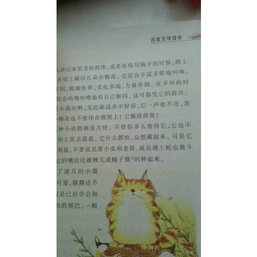 名家文学读本：小学生老舍读本