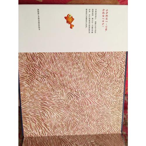 他们都看见了一只猫