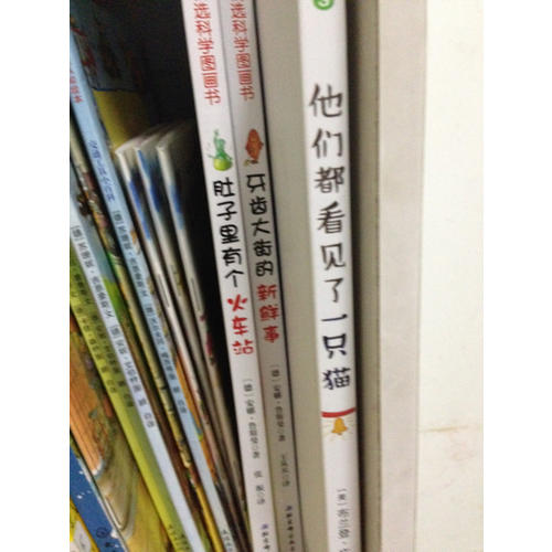 他们都看见了一只猫