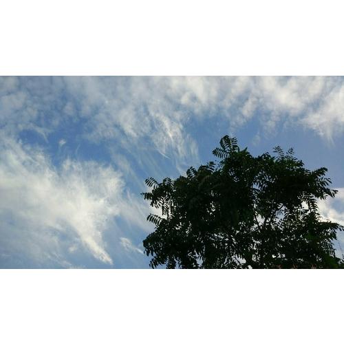 信谊世界精选图画书·一寸虫