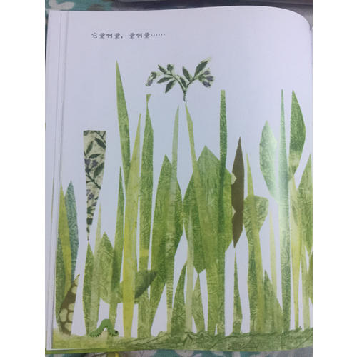 信谊世界精选图画书·一寸虫