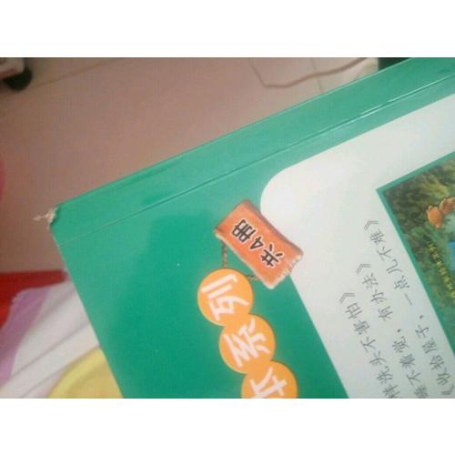 小熊布迪健康成长绘本系列 这样洗头不害怕