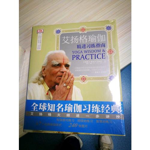 艾扬格瑜伽：精进习练指南（再版）