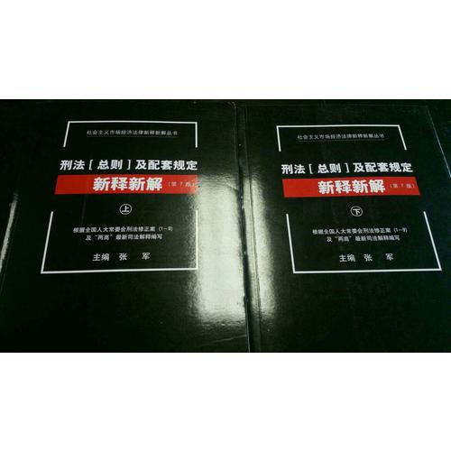 刑法（总则）及配套规定新释新解（第七版）