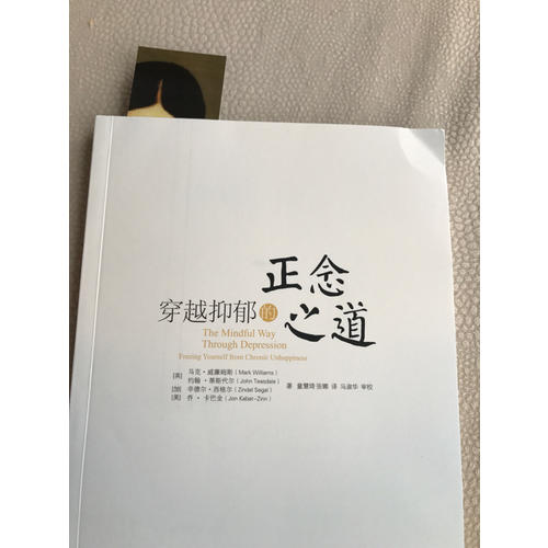 穿越抑郁的正念之道