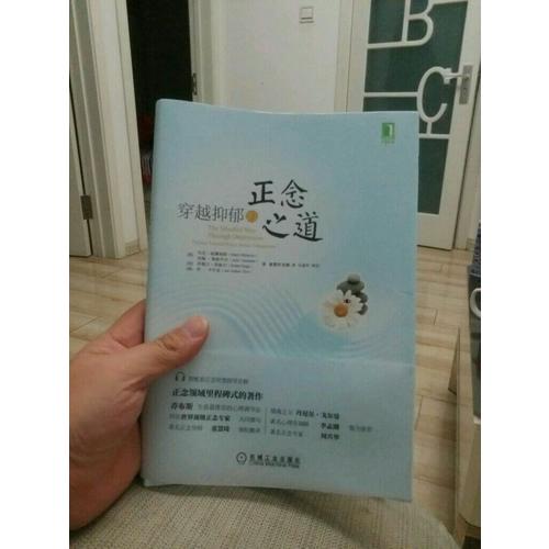 穿越抑郁的正念之道