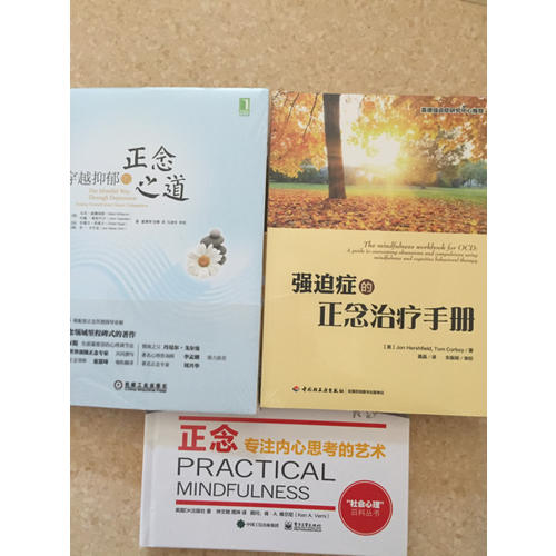 穿越抑郁的正念之道