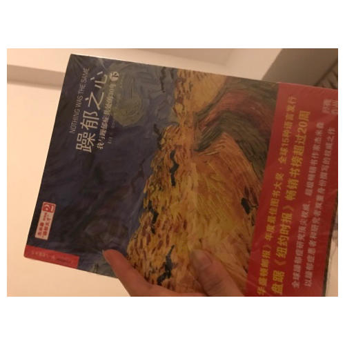 躁郁之心：我与躁郁症共处的30年（上）