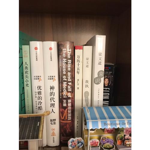 美第奇家族的兴衰