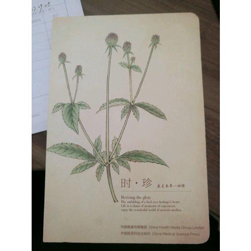 中国药典分析检测技术指南