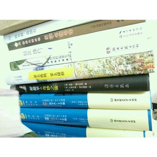 王小波全集（全10册）