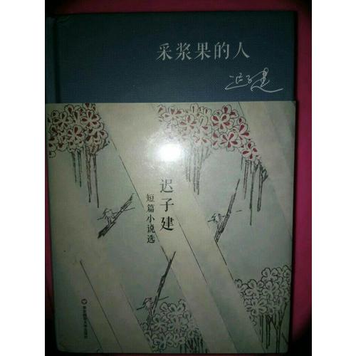采浆果的人·迟子建短篇小说选（精装）