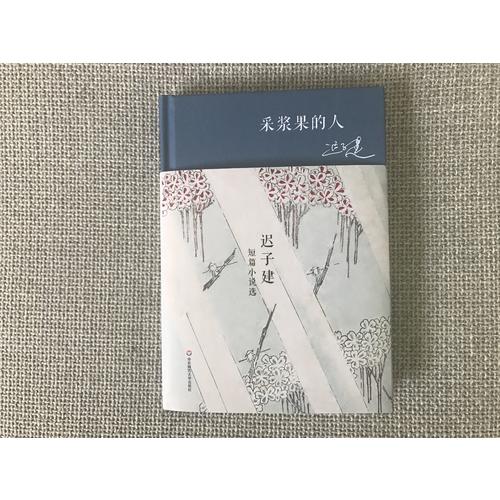 采浆果的人·迟子建短篇小说选（精装）