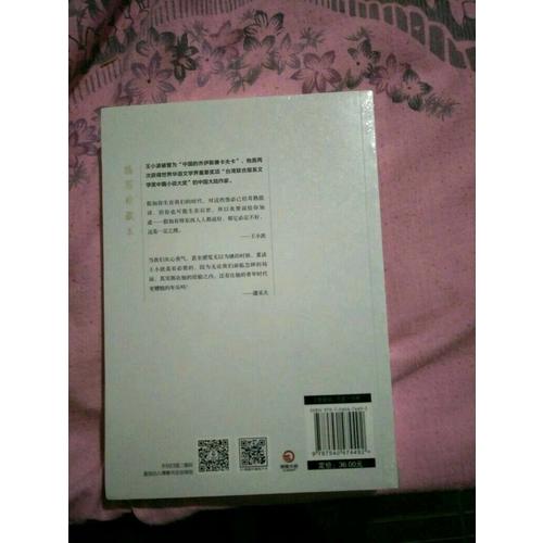 黑铁时代：王小波作品（插图珍藏本）