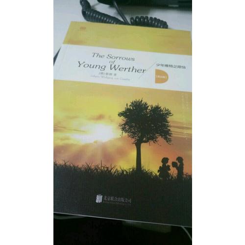 The sorrows of young Werther 少年维特之烦恼（英文版）
