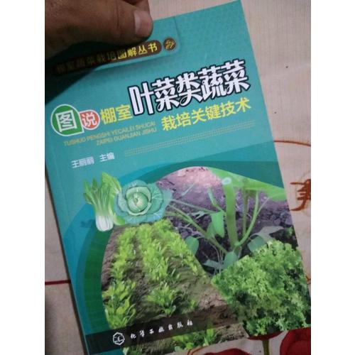 图说棚室叶菜类蔬菜栽培关键技术
