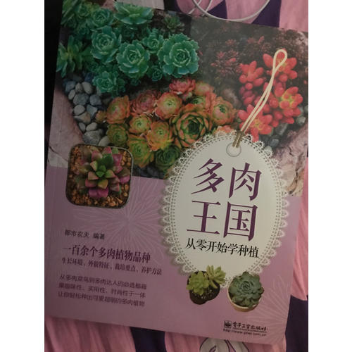 多肉王国：从零开始学种植