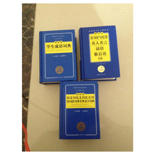 作文素材小帮手 好词好句好段名人名言谚语歇后语词典