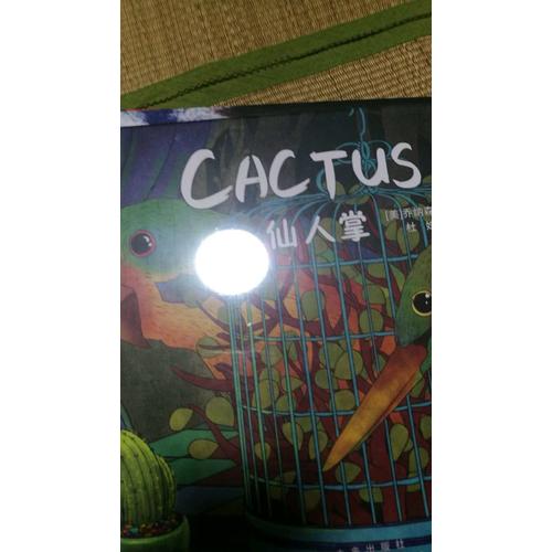 嘉盛英语想象力系列任务绘本：仙人掌