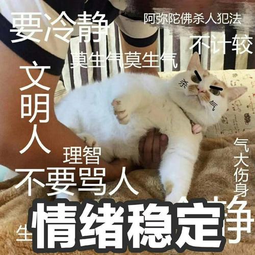 遥感数字图像处理与分析：ENVI 5.x实验教程