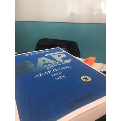 SAP ABAP开发从入门到精通