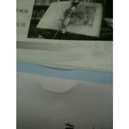 竹马镶青梅